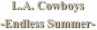 L.A. Cowboys
-Endless Summer-